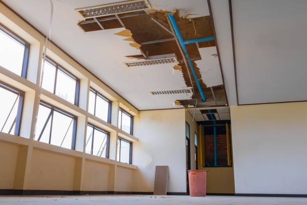 Best Flood damage cleanup  in Chagrin Falls, OH