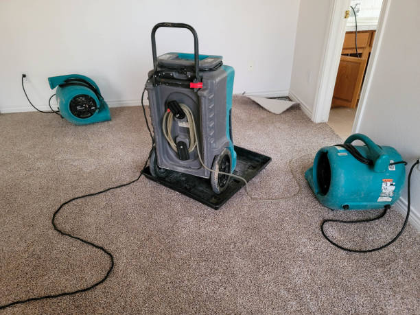 Best Water damage restoration near me  in Chagrin Falls, OH
