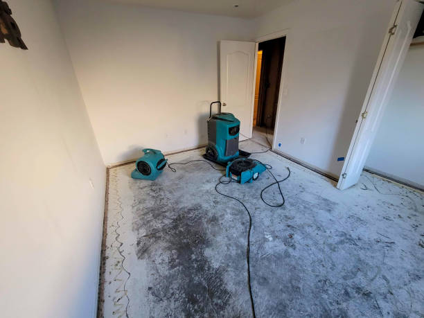 Best Water damage contractors near me  in Chagrin Falls, OH