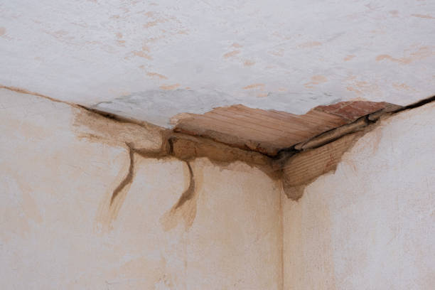 Best Carpet water damage restoration  in Chagrin Falls, OH