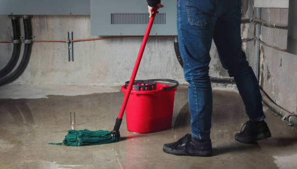 Best Flood restoration services  in Chagrin Falls, OH