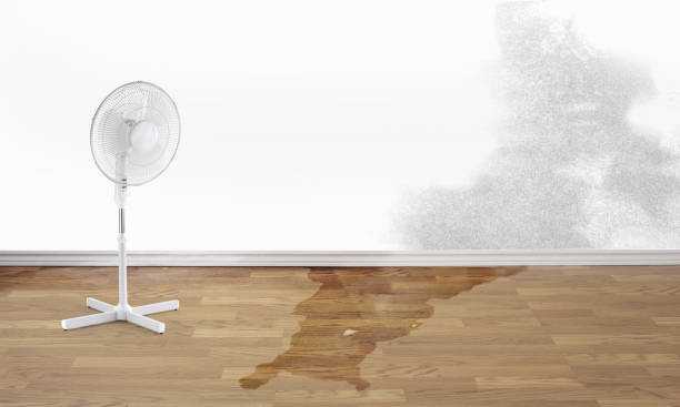 Reliable OH Water damage restoration Solutions