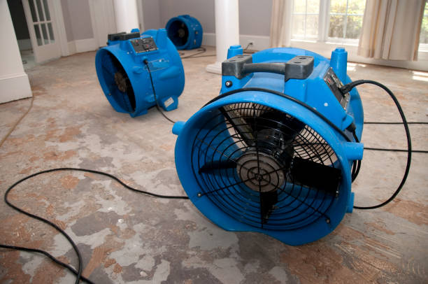 Best Professional water damage repair  in Chagrin Falls, OH