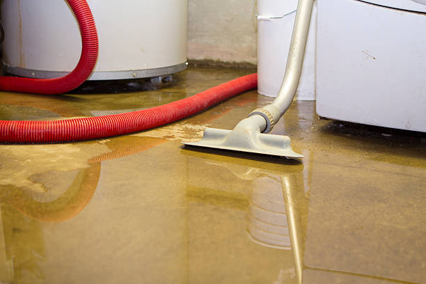 Best Basement water damage restoration  in Chagrin Falls, OH