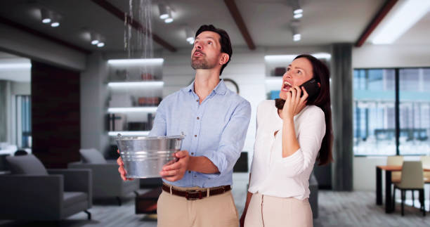 Best Sewage cleanup and water damage restoration  in Chagrin Falls, OH